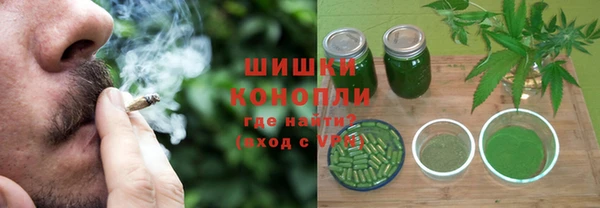 стаф Богородицк