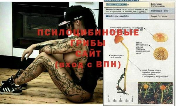 гидра Бородино