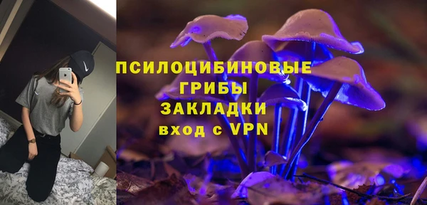 ПСИЛОЦИБИНОВЫЕ ГРИБЫ Бугульма