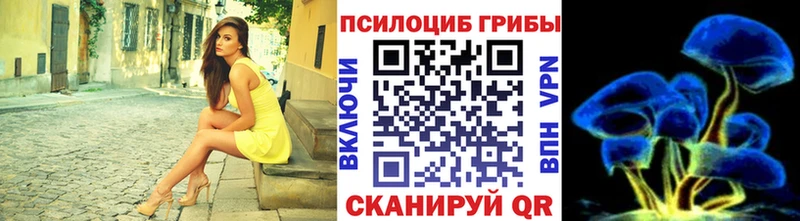 Галлюциногенные грибы прущие грибы blacksprut маркетплейс Берёзовка хочу