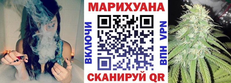 Бошки Шишки план  Берёзовка 